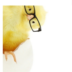 cartoon-chick-with-glasses-bending-250
