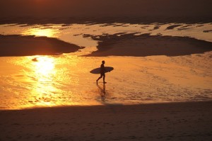 surfer-on-golden-beach-854715_640
